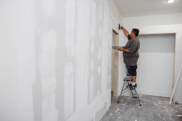 Professional Mold Removal in Great Neck, NY